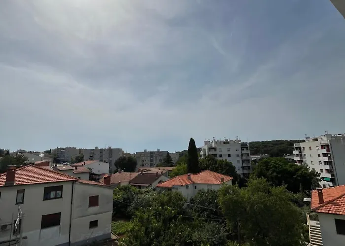 Niko * Pula
